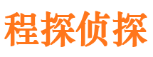 莲花侦探公司